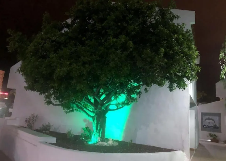 Apartamento Elisa En Garden City Con Piscina Climatizada Playa Fanabe