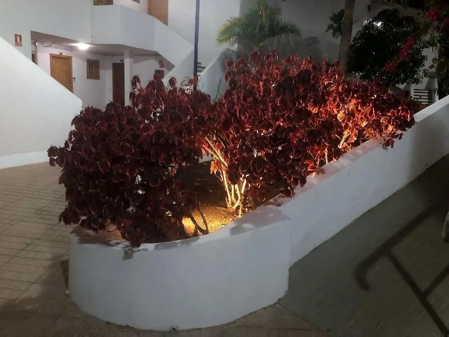 Apartamento Elisa En Garden City Con Piscina Climatizada Playa Fanabe Apartment