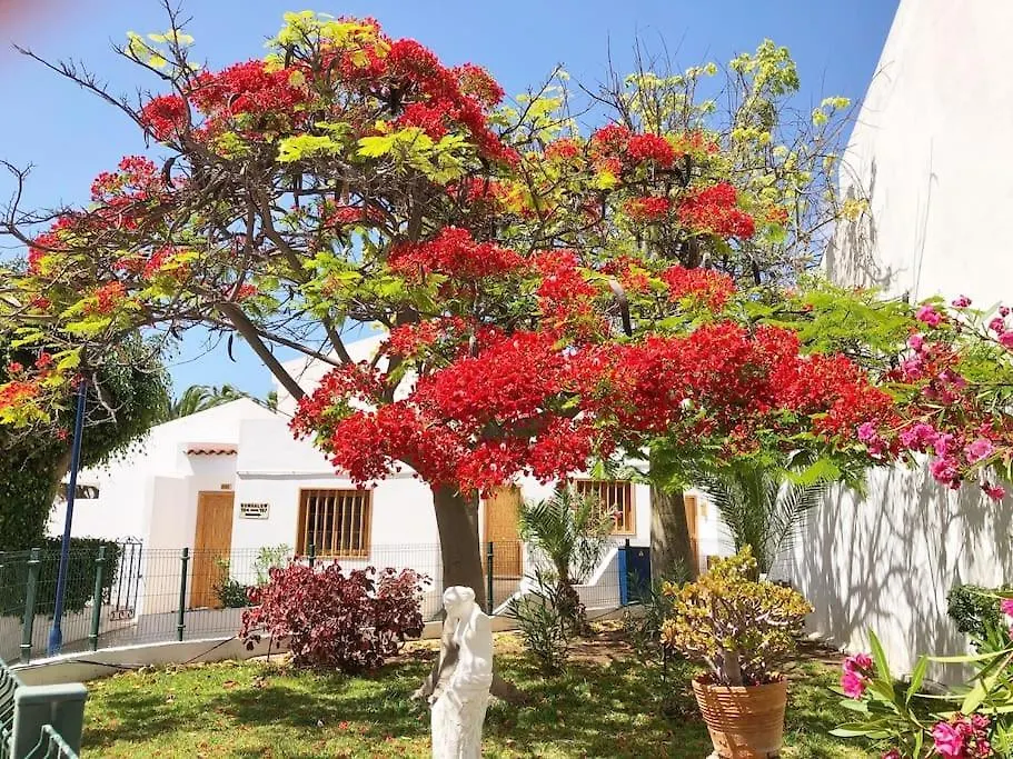 Apartamento Elisa En Garden City Con Piscina Climatizada Playa Fanabe Spain