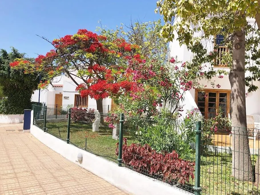 Apartamento Elisa En Garden City Con Piscina Climatizada Playa Fanabe Spain